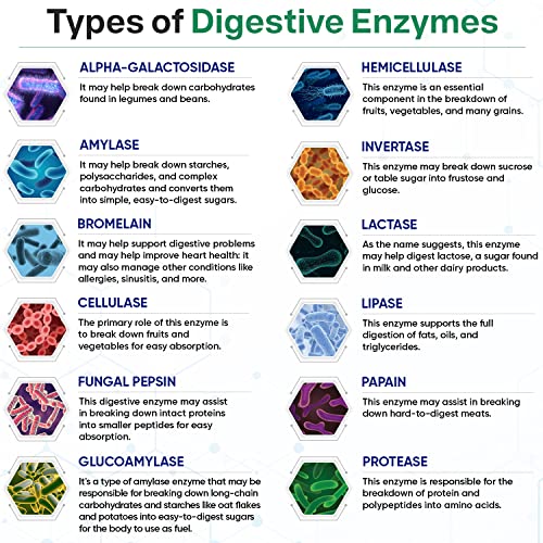 Organic Digestive Enzymes with Prebiotics & Probiotics
