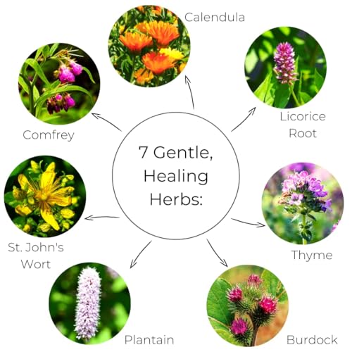 Ora's Herbal Touchy Skin Salve for Eczema