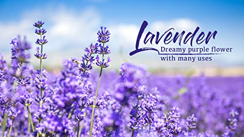 Natural Antiseptic Healing Cream for Infected Skin