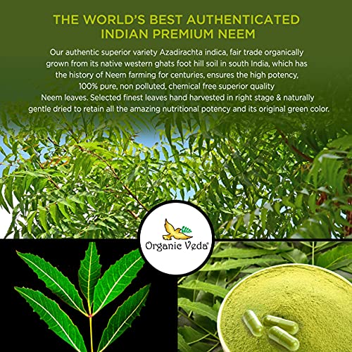 Organic Neem Capsules - 1000mg Herbal Supplement