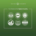 NutraChamps Super Greens Powder Superfood Blend