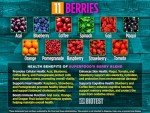 Biotest Superfood Blend - 140g Natural Boost