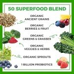 Orgain Organic Superfoods Blend – 0.62 lb