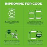 Orgain Honeycrisp Apple Organic Immunity Boost Powder