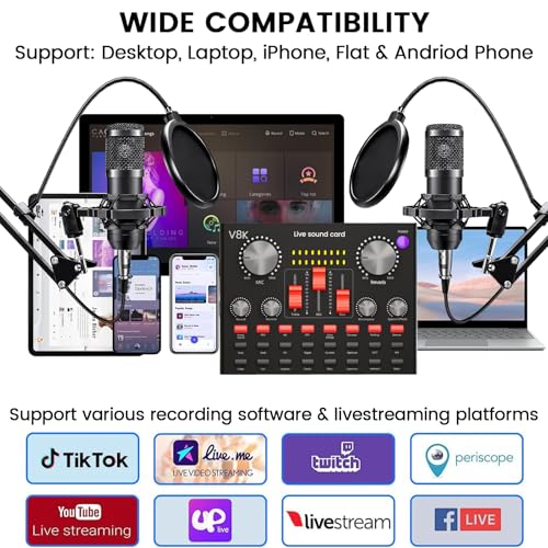 Podcast Equipment Bundle: BM800 Mic & Mixer