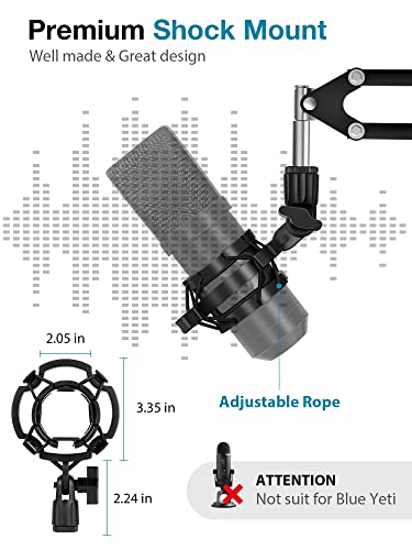 InnoGear Microphone Boom Arm with Accessories