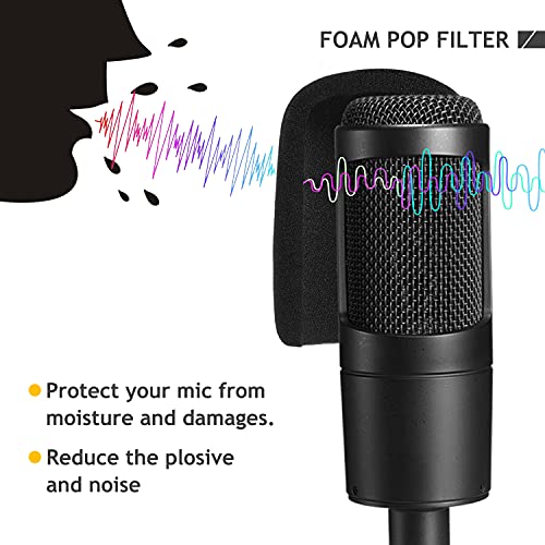 Professional Mic Stand with Shock Mount and Pop Filter