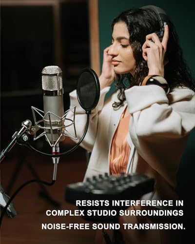 Foboiu 4ft XLR Cables 2-Pack for Podcasting