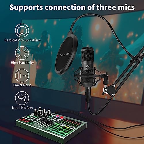 Podcast Equipment Bundle for 2: Mixer & Microphones