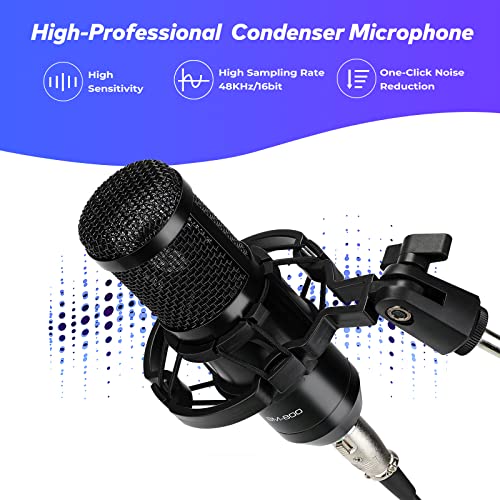 Asmuse Podcast Equipment Bundle with BM800 Microphone