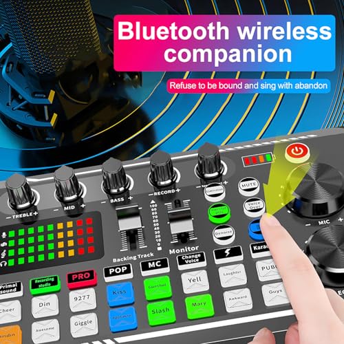 BM800 Podcast Equipment Bundle with Audio Interface