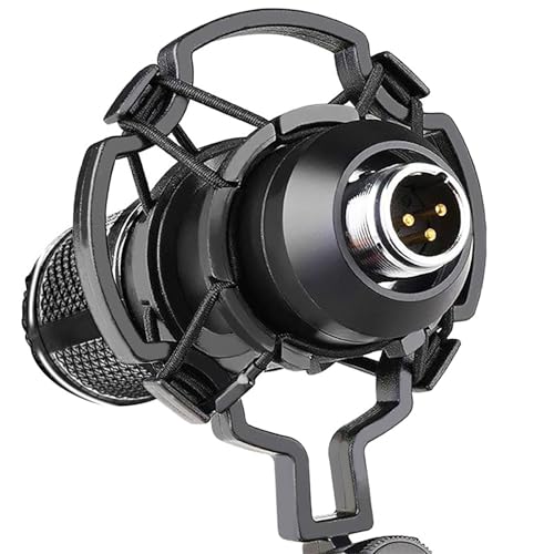 BM800 Podcast Equipment Bundle with Audio Interface