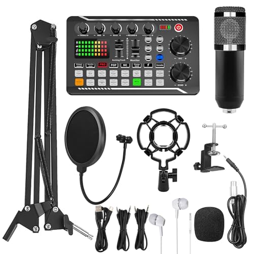BM800 Podcast Equipment Bundle with Audio Interface