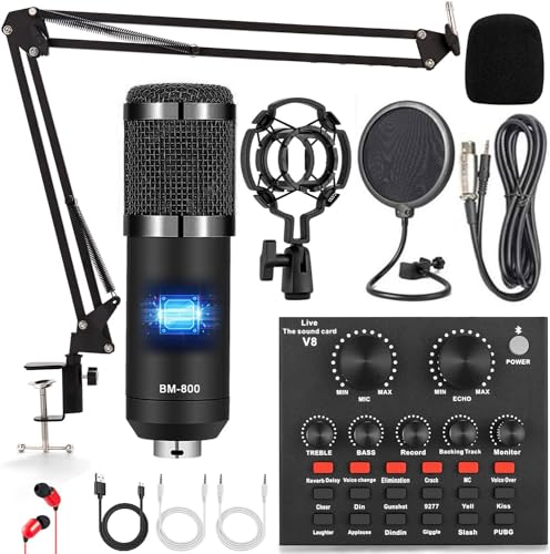 ALPOWL Audio Interface Bundle with BM800 Microphone
