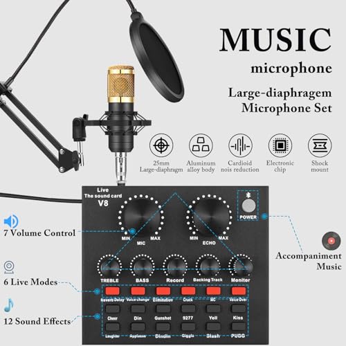 ALPOWL Audio Interface Bundle with BM800 Microphone