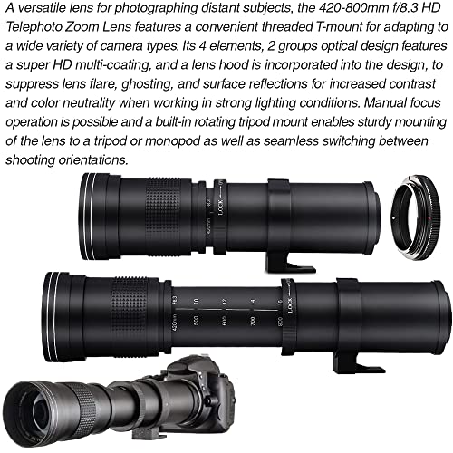 Canon EOS 2000D DSLR Camera Bundle Kit