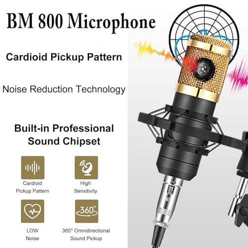 ALPOWL Audio Interface Bundle with BM800 Microphone