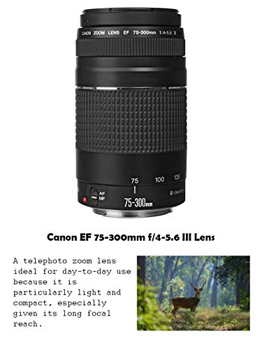 Canon EOS Rebel T7 DSLR Camera Bundle