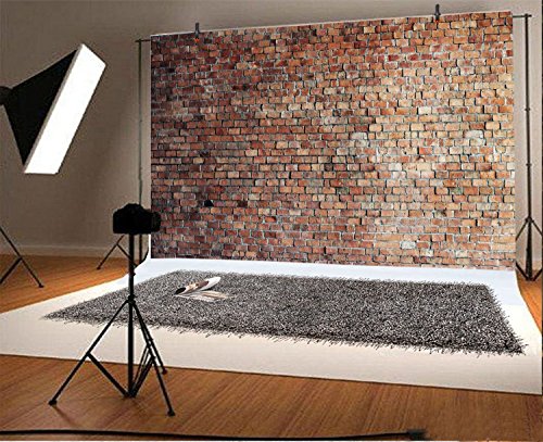 Vintage Red Brick Wall Photo Backdrop 10x8ft
