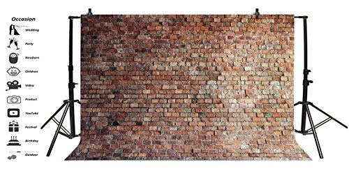 Vintage Red Brick Wall Photo Backdrop 10x8ft