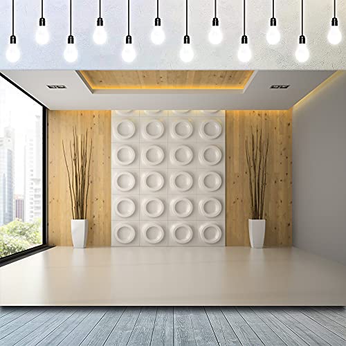 CSFOTO 5x3ft French Windows Video Backdrop