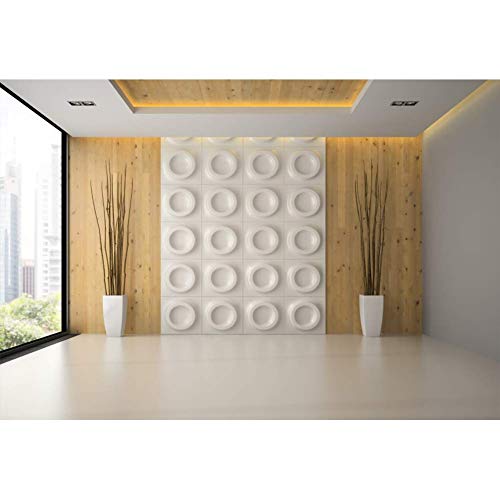 CSFOTO 5x3ft French Windows Video Backdrop