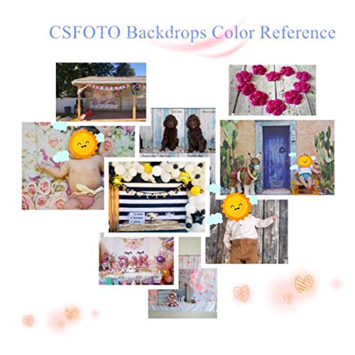CSFOTO 5x3ft French Windows Video Backdrop