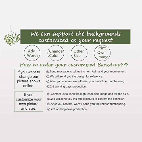 CSFOTO 5x3ft French Windows Video Backdrop