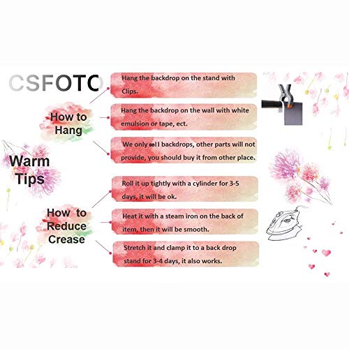 CSFOTO 5x3ft French Windows Video Backdrop