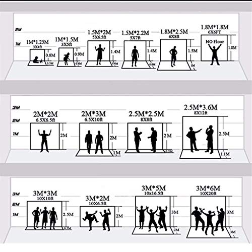 CSFOTO 5x3ft French Windows Video Backdrop