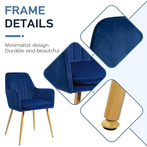Navy Blue Accent Arm Chairs with Gold Legs
