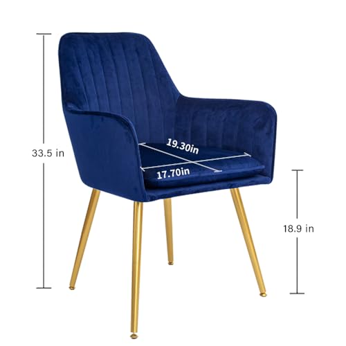 Navy Blue Accent Arm Chairs with Gold Legs