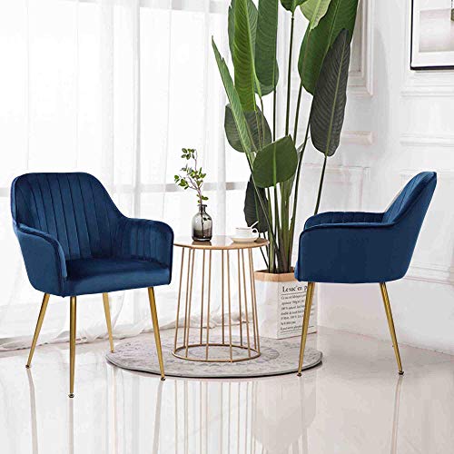 Velvet Accent Chairs with Gold Legs - Set of 2