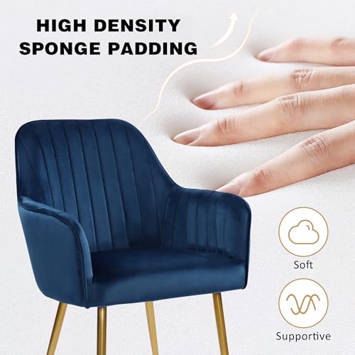 Velvet Accent Chairs with Gold Legs - Set of 2