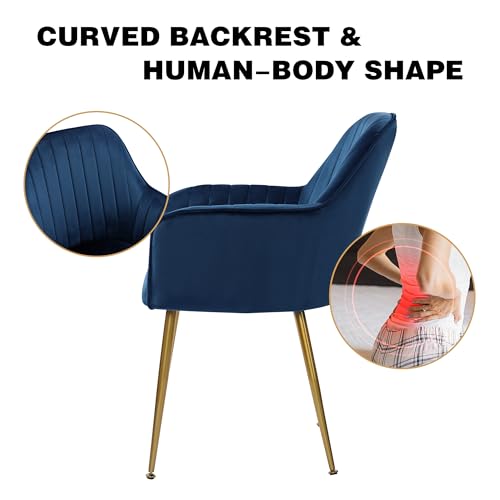 Velvet Accent Chairs with Gold Legs - Set of 2