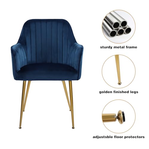 Velvet Accent Chairs with Gold Legs - Set of 2