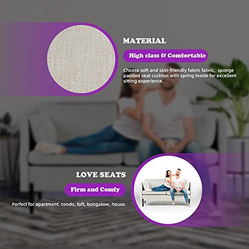 Modern Loveseat Sofa with Pillows and Metal Legs