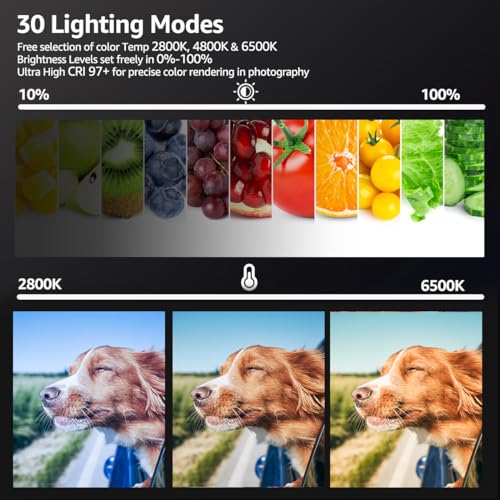 2-Pack LED Video Light Kit, NiceVeedi Studio Light, 2800-6500K Dimmable Photography Lighting Kit with Tripod Stand&Phone Holder, 73" Stream Light for Video Recording, Game Streaming, YouTube…