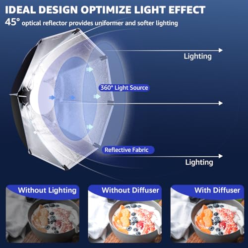 Softbox Photography Lighting Kit, NiceVeedi 20" Softbox Lighting Kit with 5400K 650W Equivalen LED Bulbs & 63" Tripod Stand, Studio Light Kit for Photography Portraits Advertise Shooting, Video Record