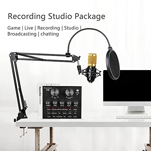 BM-800 Podcast Equipment Bundle with Voice Changer