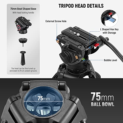 NEEWER 74" Video Tripod with Fluid Head, QR Plate, Aluminum Heavy Duty Camera Tripod Professional for DSLR Cameras Camcorders, Max Load 17.6lb/8kg, TP74