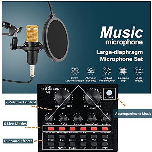 BM-800 Podcast Equipment Bundle with Voice Changer