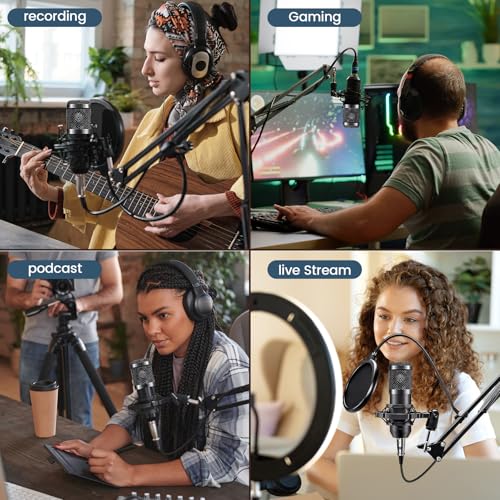 Podcast Equipment Bundle: BM800 Mic & DJ Mixer