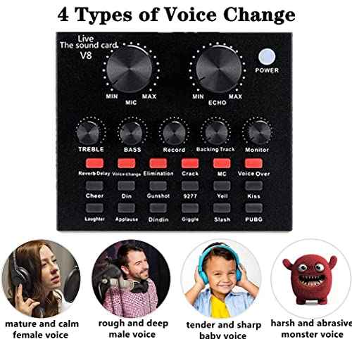 BM-800 Podcast Equipment Bundle with Voice Changer