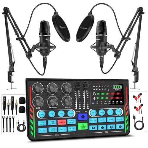 Hayner-Seek Podcast Equipment Bundle with Mixer & Mic