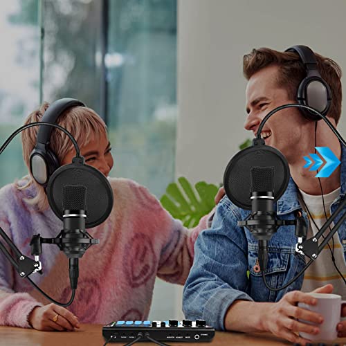 Hayner-Seek Podcast Equipment Bundle with Mixer & Mic