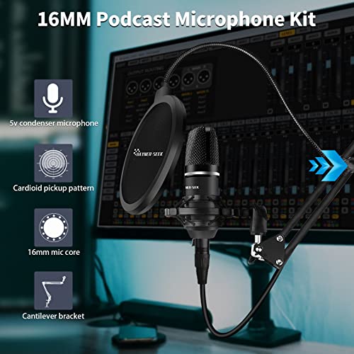 Hayner-Seek Podcast Equipment Bundle with Mixer & Mic