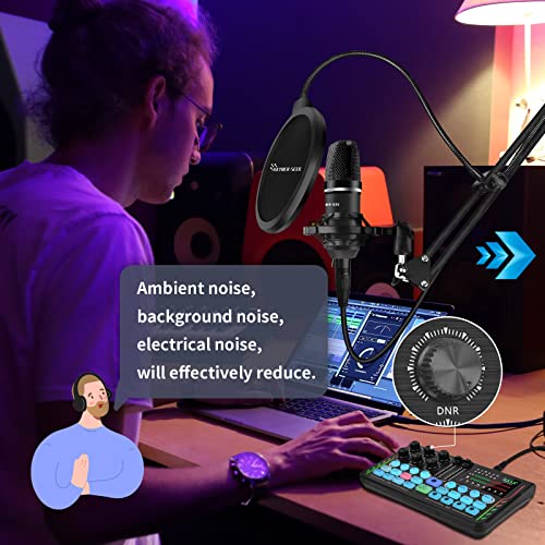 Hayner-Seek Podcast Equipment Bundle with Mixer & Mic