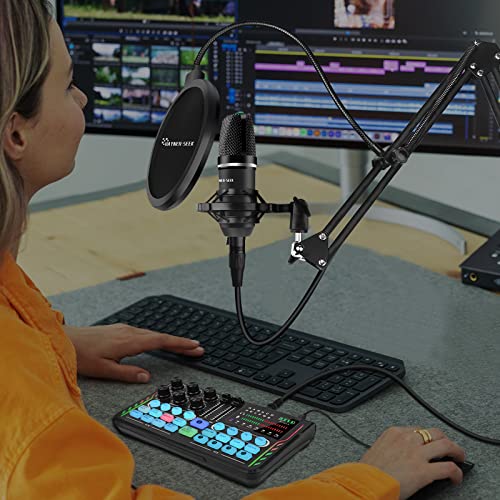 Hayner-Seek Podcast Equipment Bundle with Mixer & Mic