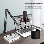 Professional XLR Condenser Microphone Kit for Podcasts